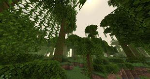 v1.9 - Fog Preview + Jungle Palette