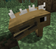 Chompy