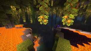 Dive In