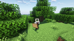 Oak Shield