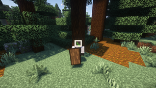 Spruce Shield