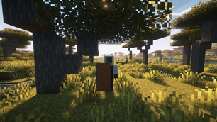 Acacia Shield