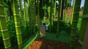 Bamboo Shield