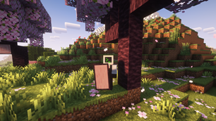 Cherry Blossom Shield