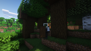 Dark Oak Shield