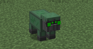 Pig with NVG