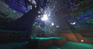 Magic forest (ground)
