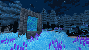 Portal blocks