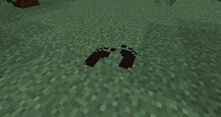 Footprints