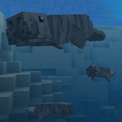 underwater with children