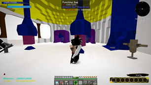 Training Session