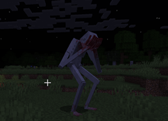 Sighting 3
