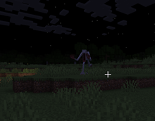 Sighting 5