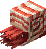 111px-Nautilus_(Back).png