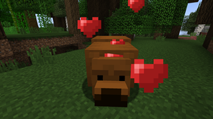 Bear Buddy