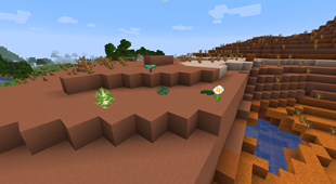 Dead bushes can turn into Saplings, Bushes, Mushroom, flowers and lily pads