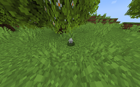 Screenshot 2025-09-28 at 5.26.11 PM.png