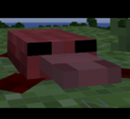 Platypus.png
