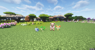 STARTERS OF THE PACK