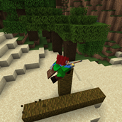 Staff Vaulting.png