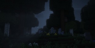 Time of Night.png