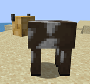 Screenshot 2025-09-29 190240.png