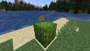 Briefcase on Cactus