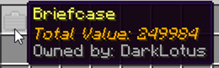 Briefcase Owner and Value