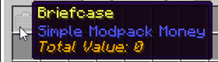 Briefcase Item