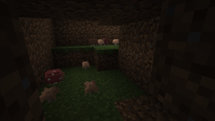 Shroominis