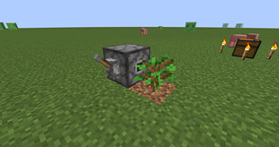 placer.png