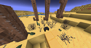 trash, cactus and dead bushes