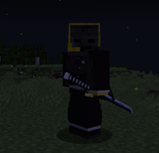 Sword sheathes