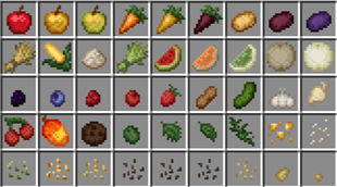 1.0 Foods