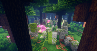 Forest Circle