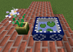 Lily pad in Bowl