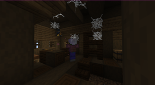 Interior of the abandoned shack