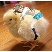 Design sem nome.png