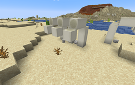 Exposed Desert Fossil
