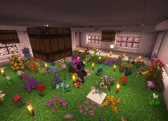 Create a Butterfly & Moth Sanctuary