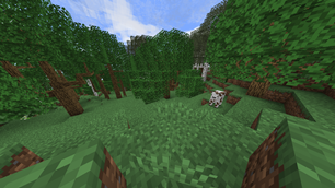 Update 56