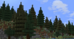 Improved Taiga Biome