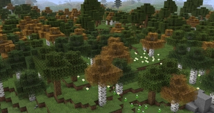 New Forest Biome