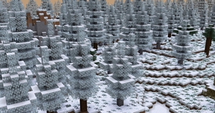 New Frozen Woods Biome