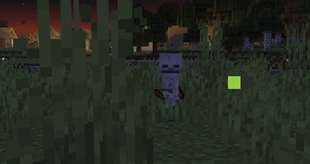 New Baby Skeleton