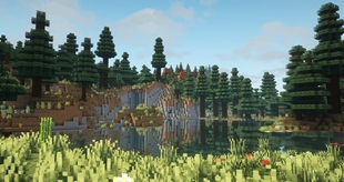 Shaders ON