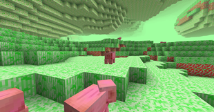 Fat pigs