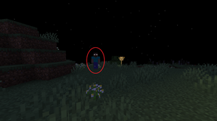 Sighting 2