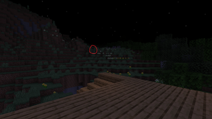 Sighting 3