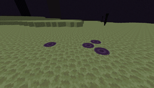 imagen geiser.png